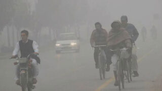 Fog