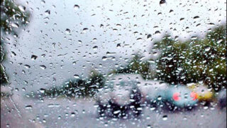 Light Rain