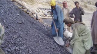 Loralai Coal