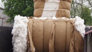 Pakistan Cotton