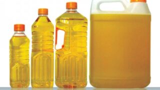 Palm Oil