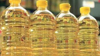 Palm oil