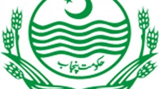 Punjab Gorment