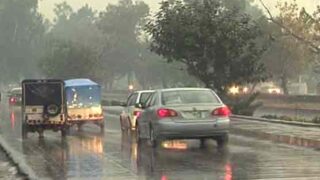 Rain