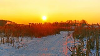 Russian Sun Rise