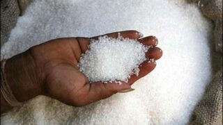 Sindh sugar