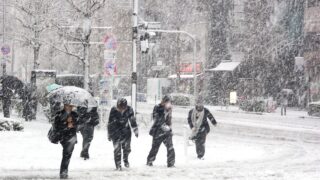 Snow