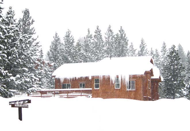 دنیا بھر میں برفباری عروج پر نظام زندگی مفلوج ہو کر رہ گیا