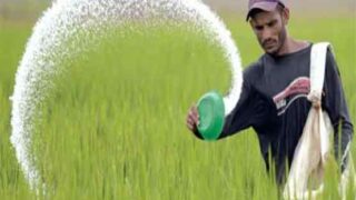 Urea Production