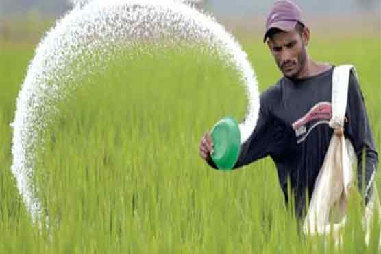 یوریا کی پیداوار اور فروخت میں 12 فیصد کمی ریکارڈ