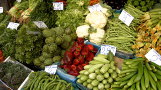 Vegetable
