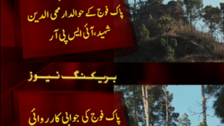 War Tatta Pani sector