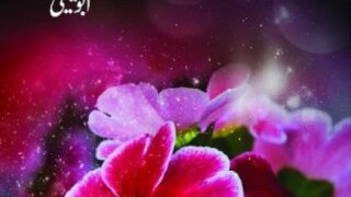 Bas Yahi Dil