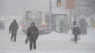 Canada Snow