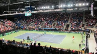Davis Cup