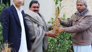 Department Agriculture Bhmbr