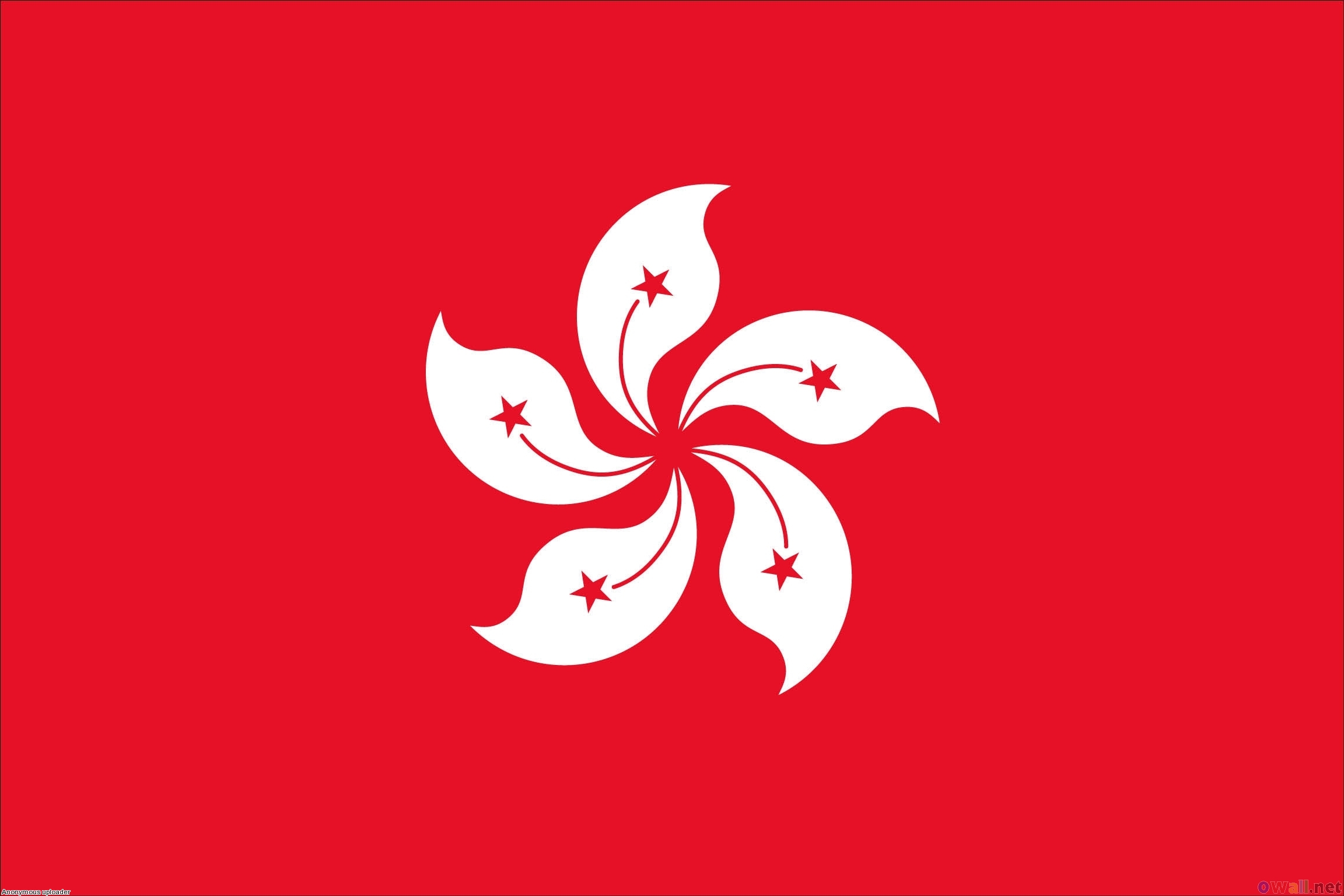 ہانگ کانگ میں کرنسی وین کو حادثہ، شہریوں نے بکھرے نوٹوں کو اٹھا لیا