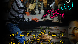 Kashmir Day 5 Feb 2013