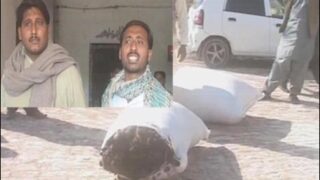 Larkana Woman Hire Cut