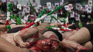 Mexico Protest Bullfighting