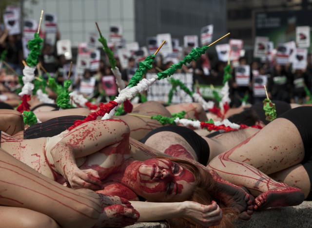 Mexico Protest Bullfighting