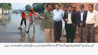 Nishat Zia Qadri Shah Faisal Town
