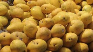 Pakistan Fruit Export Orders Faound