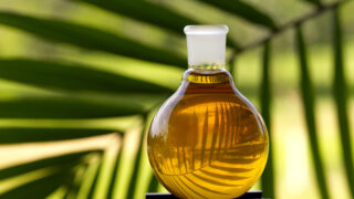 Palm Oil
