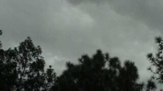 Rain Weather