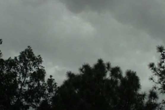 Rain Weather