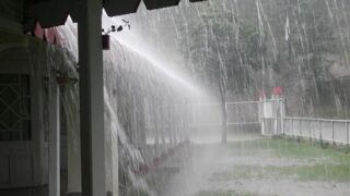 Rain