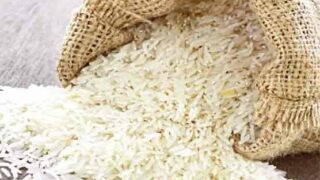 Rice Export
