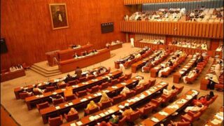 Senate Committee Pakistan