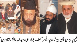 Syed Zia Anver Shah Professor asif hzaruy