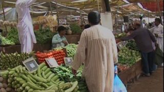 Vegetable Prices