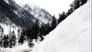 Dmr Snow