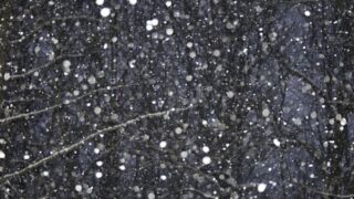 Gilgit Snow