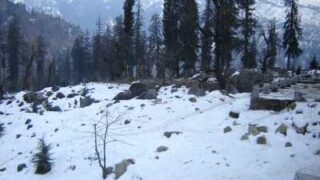 Himachal Pradesh Snow