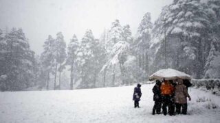 Manali Snow