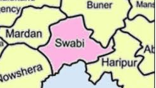 Swabi