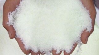 Urea Fertilizer