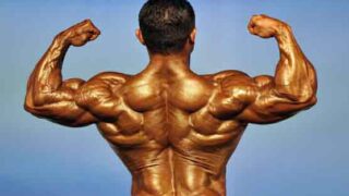 Body Building