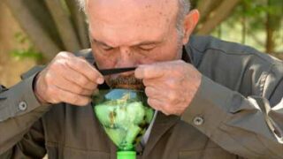 Chemical Weapons