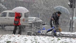 China Snow