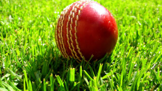 Cricket