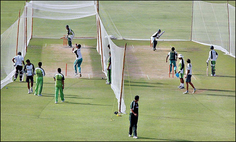 Cricket Board