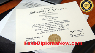 Fake Degree