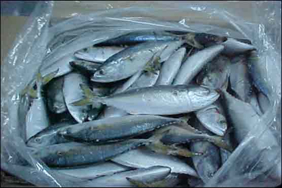 پاکستان سمندری خوراک کا پہلا آرڈر یکم مئی کو بھیجے گا