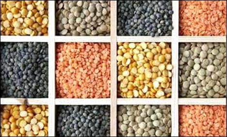 Food Items