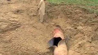 Gas Pipeline Blast